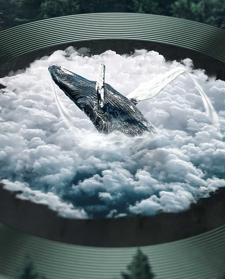 Apple iPhone 12 Pro Zore CL-02 Kamera Lens Koruyucu Gri