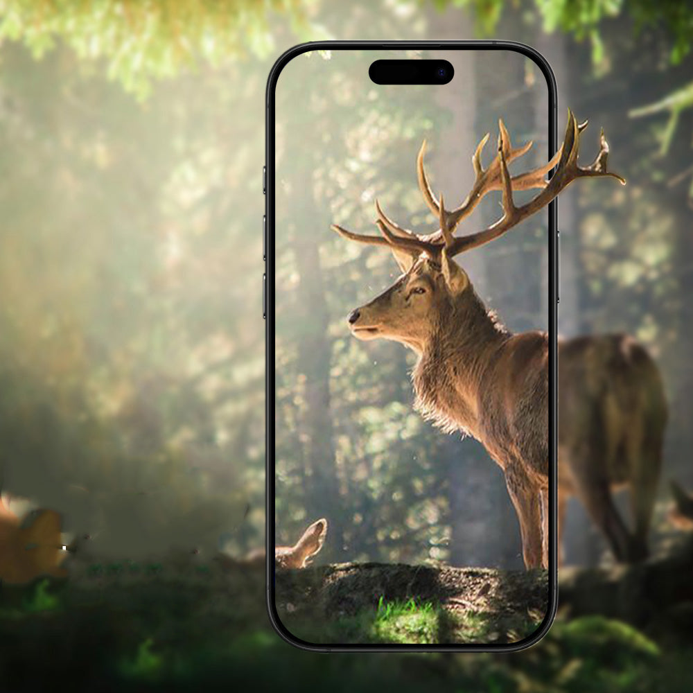 Apple iPhone 17 Pro Zore Mikro Kamera Lens Koruyucu Gümüş