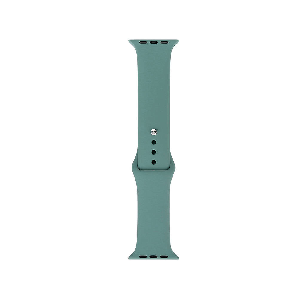 Apple Watch 38mm Band Serisi Klasik Kordon Silikon Strap Kayış Cactus