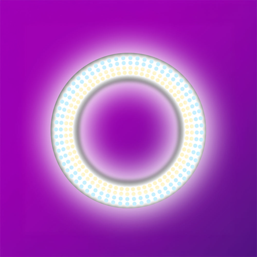 Zore LJJ22 RGB Light 56cm Işıklı Telefon Tutucu Ring Light Siyah