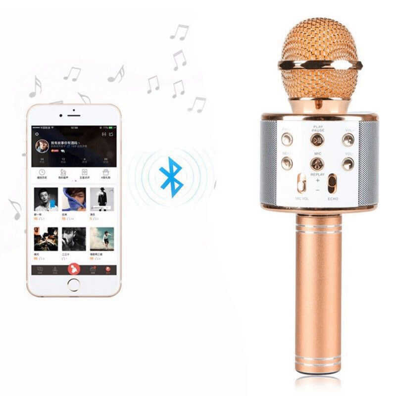Zore WS-858 Karaoke Mikrofon Rose Gold