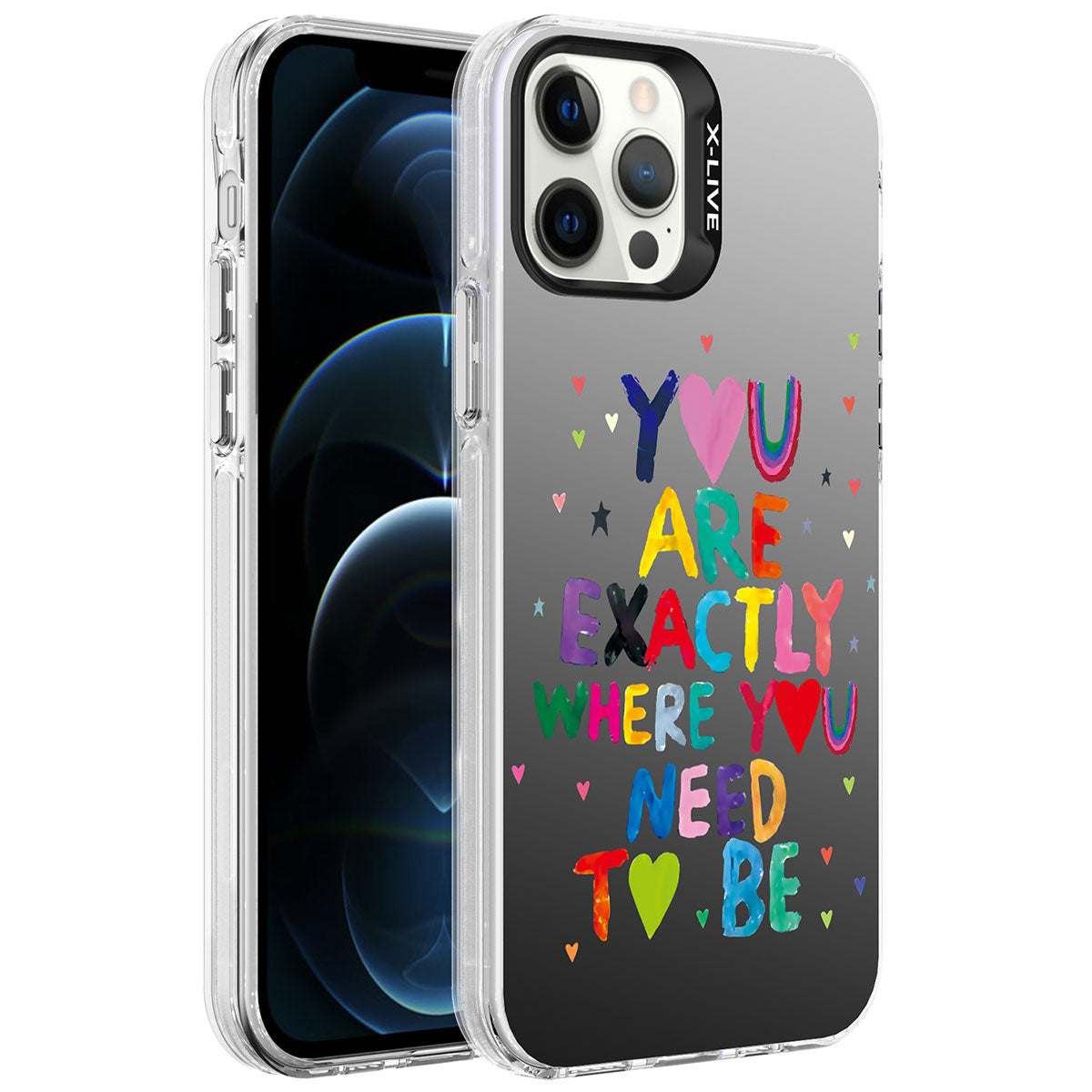 Apple iPhone 12 Pro Kılıf Desenli Zore Silver Sert Kapak You