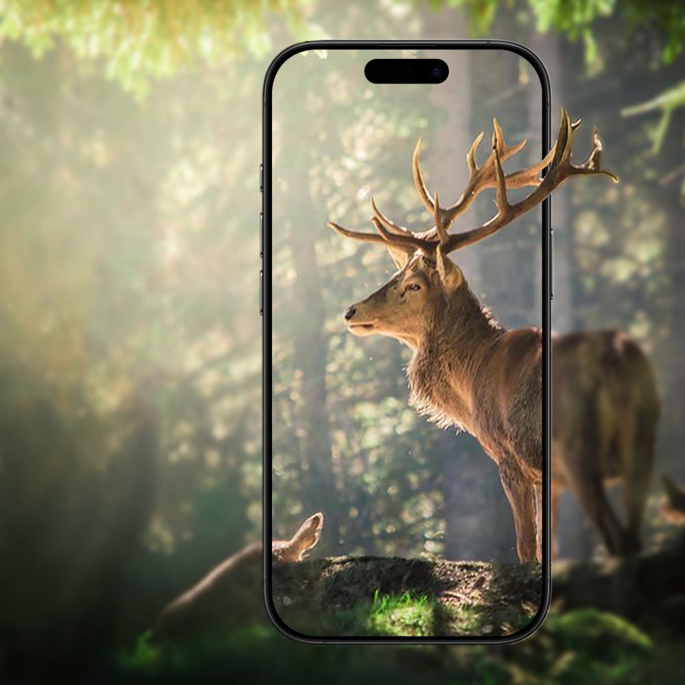 Apple iPhone 17 Air Zore Mikro Kamera Lens Koruyucu Gümüş