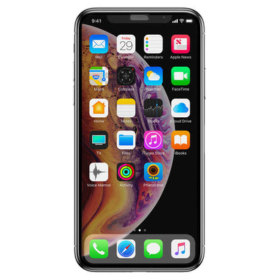 Apple iPhone XR 6.1 Zore Anti-Dust Temperli Ekran Koruyucu Siyah