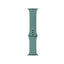 Apple Watch 38mm Band Serisi Klasik Kordon Silikon Strap Kayış Cactus