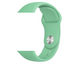 Apple Watch 38mm Zore Klasik Kordon 40-Spearmint