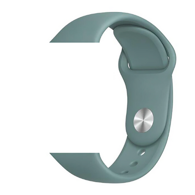 Apple Watch 38mm Zore Klasik Kordon 48-Cactus