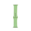 Apple Watch 40mm Band Serisi Klasik Kordon Silikon Strap Kayış Mint Green