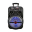 Zore LT-5312BT Mikrofonlu RGB Işıklı 12 inç Stereo Kumandalı Kablosuz Karaoke Hoparlör Speaker v5.0