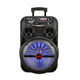 Zore LT-5312BT Mikrofonlu RGB Işıklı 12 inç Stereo Kumandalı Kablosuz Karaoke Hoparlör Speaker v5.0