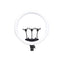 Zore MJ-56 Uzaktan Kumandalı 21 inç Işıklı Telefon Tutucu Ring Light