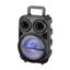 Zore PK-15 FM Radyolu Mikrofonlu RGB TWS 8 inç Stereo Bass Kablosuz Karaoke Hoparlör Siyah