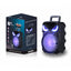 Zore PK-17 FM Radyolu Mikrofonlu RGB TWS 8 inç Stereo Bass Kablosuz Karaoke Hoparlör Siyah