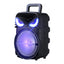 Zore PK-17 FM Radyolu Mikrofonlu RGB TWS 8 inç Stereo Bass Kablosuz Karaoke Hoparlör Siyah